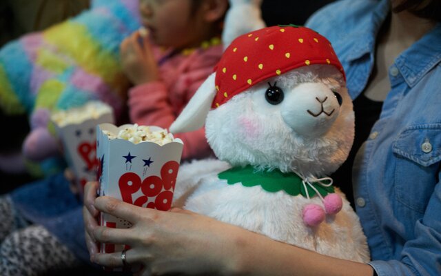 alpacasso series